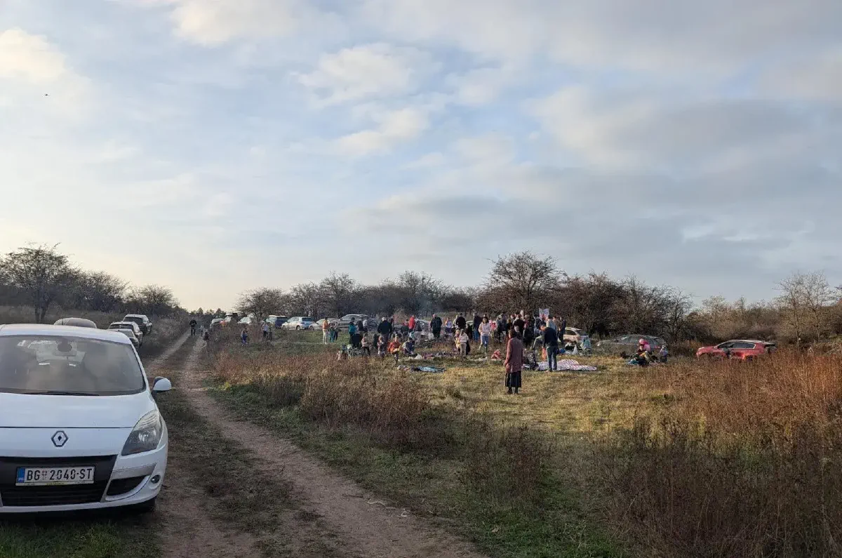 ljudi zajedno provode vreme u prirodi na akciji Forests Digital