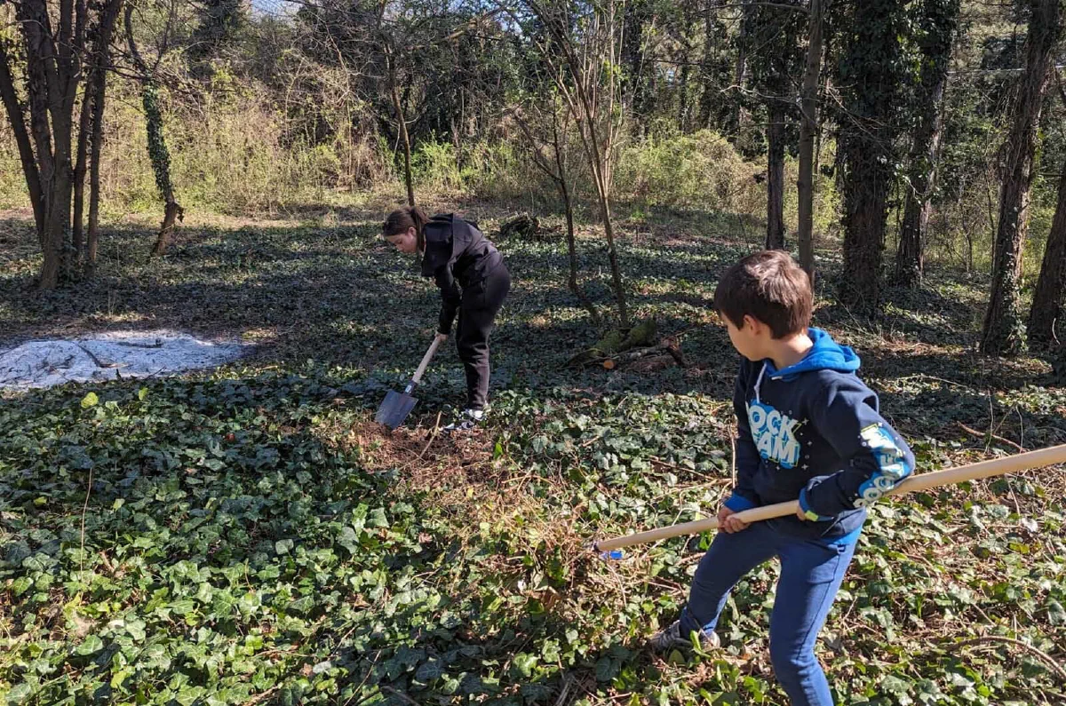 sadnja drveća u šumi – akcija Forests Digital