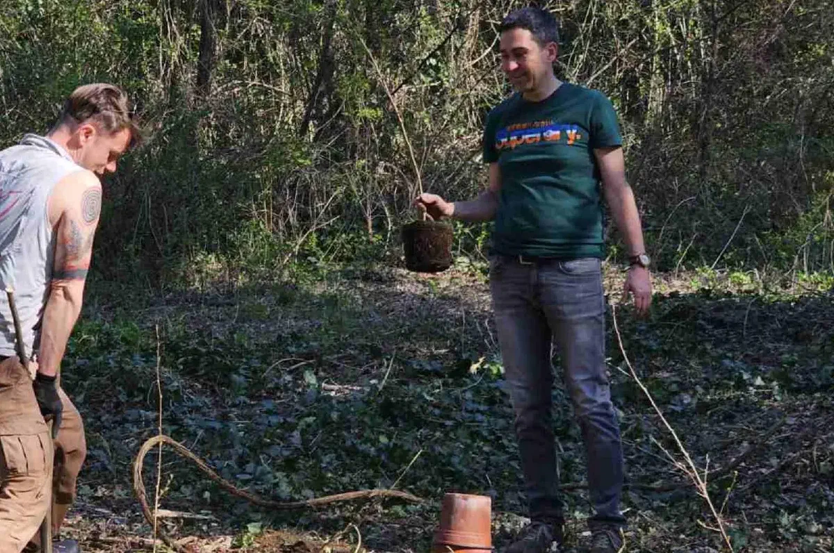 sadnja drveća u šumi – akcija Forests Digital