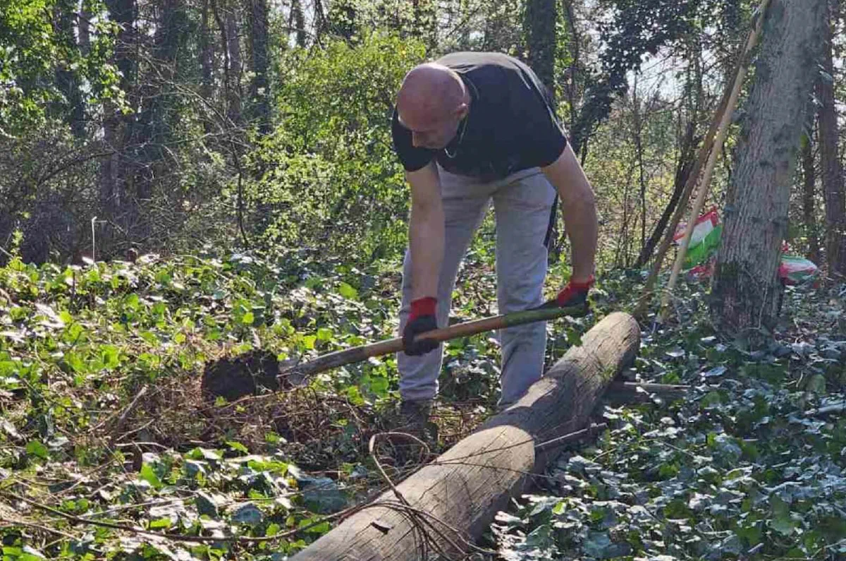 sadnja drveća u šumi – akcija Forests Digital
