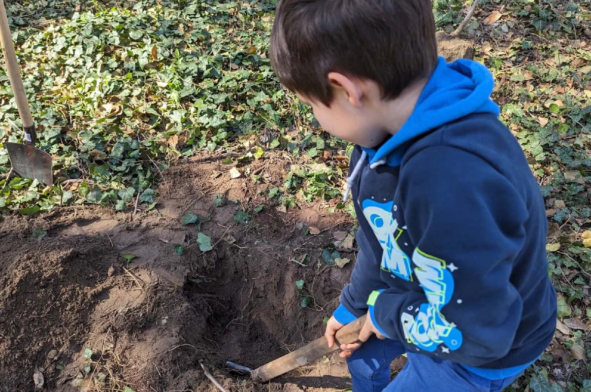 sadnja drveća u šumi – akcija Forests Digital