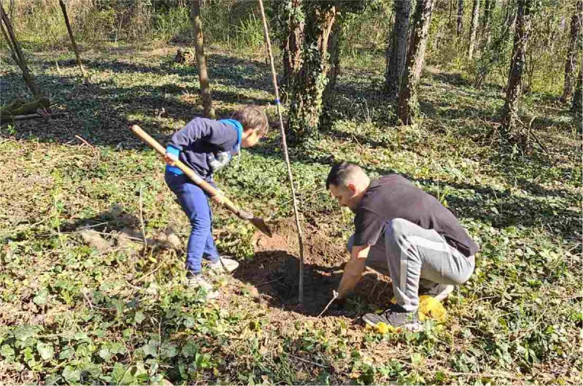 sadnja drveća u šumi – akcija Forests Digital