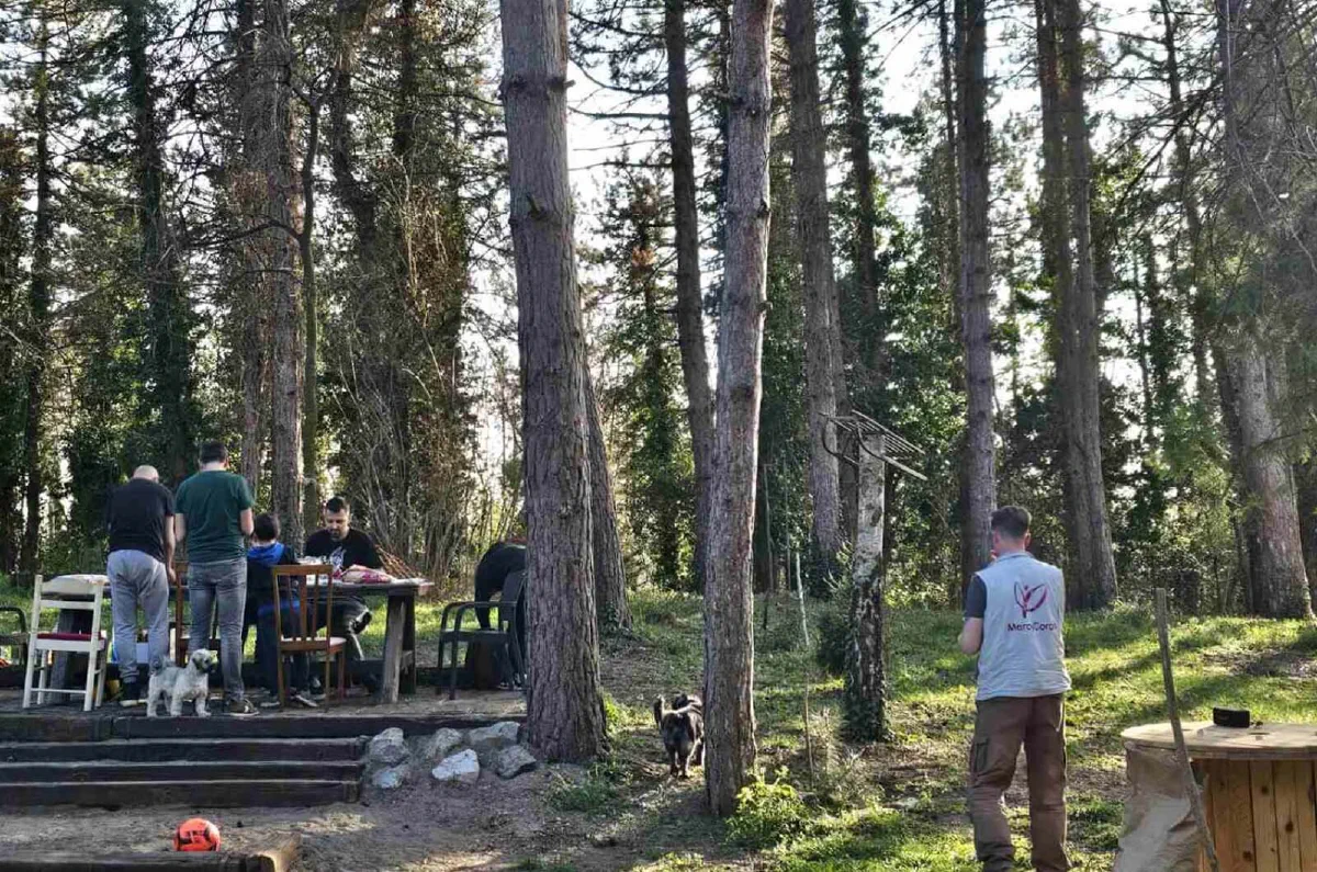 ljudi zajedno provode vreme u prirodi na akciji Forests Digital